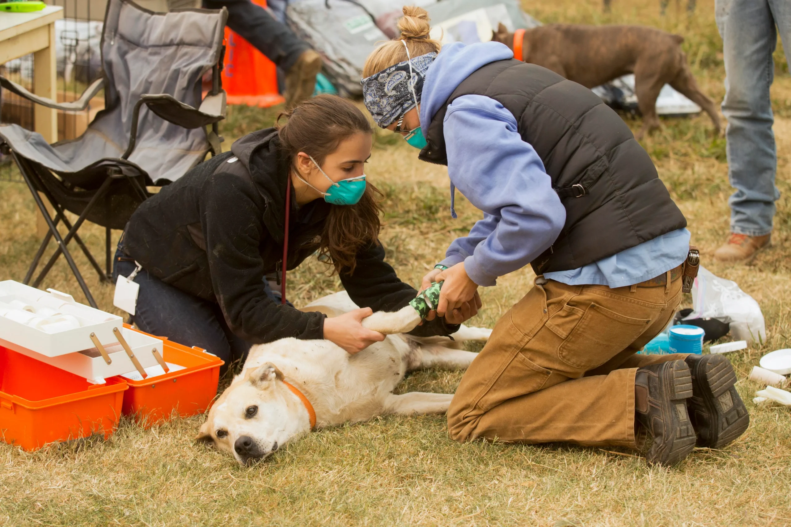 Donate to Exotic Animal Rescue in Omaha, NE, and Bring a Change