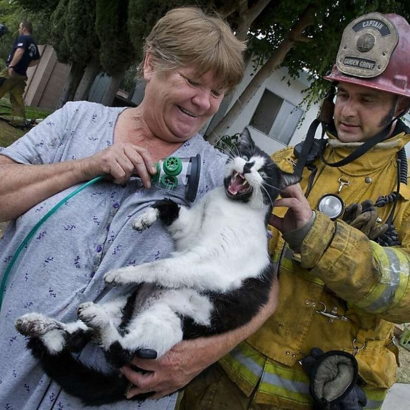 Rescue and Rehome at Exotic Animal Shelter in Lincoln NE